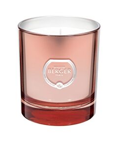 Maison Berger Jar Candle Poesy